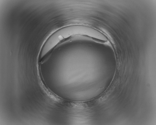 X0000075860899200609291545