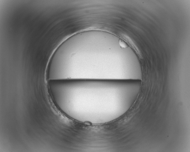 X0000075860900200609291545