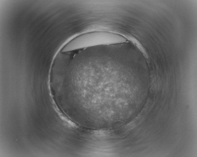 X0000075860904200609291545