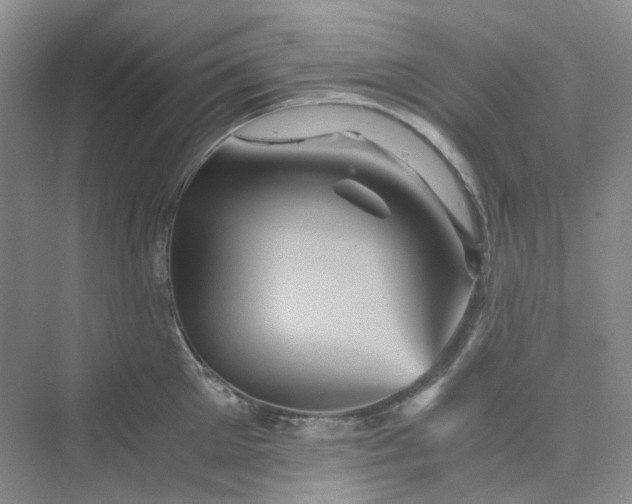 X0000075860905200609291545