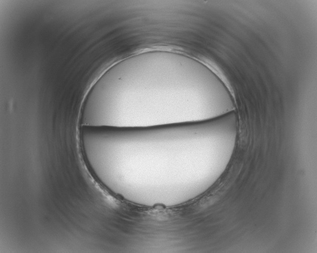 X0000075860906200609291545