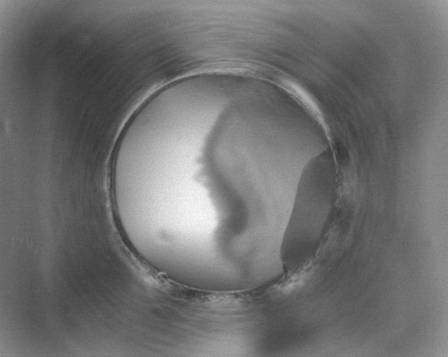 X0000075860907200609291545