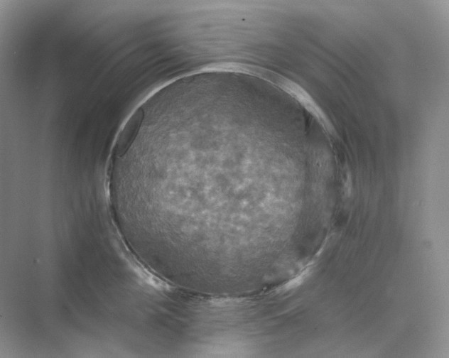 X0000075860908200609291545