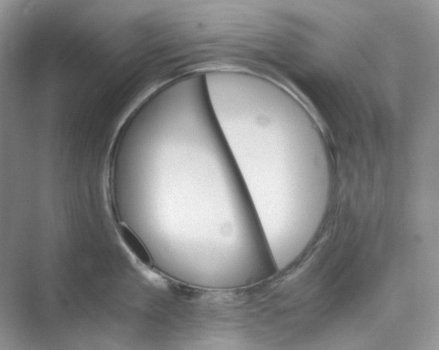 X0000075860909200609291545