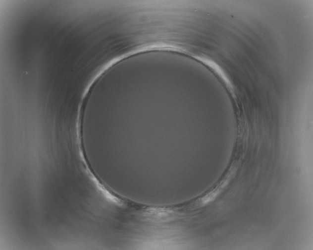 X0000075860910200609291544