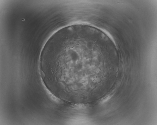 X0000075860911200609291544