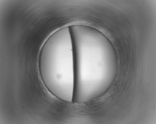 X0000075860912200609291544