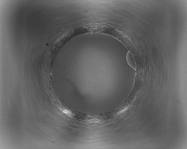 X0000075860913200609291544