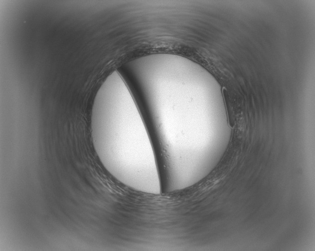 X0000075860916200609291544