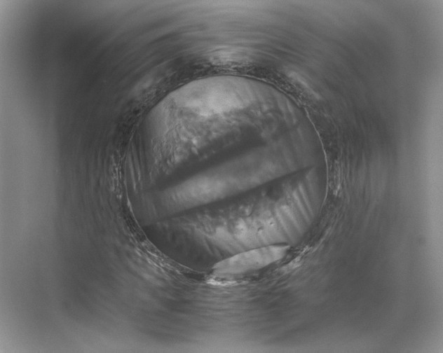 X0000075860917200609291544