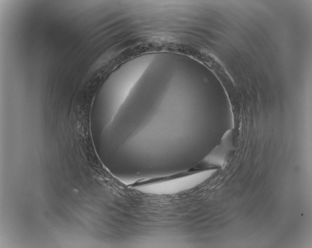 X0000075860919200609291544