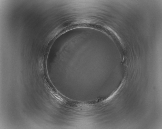 X0000075860921200609291544