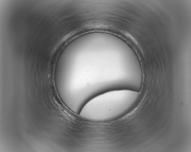 X0000075860922200609291544