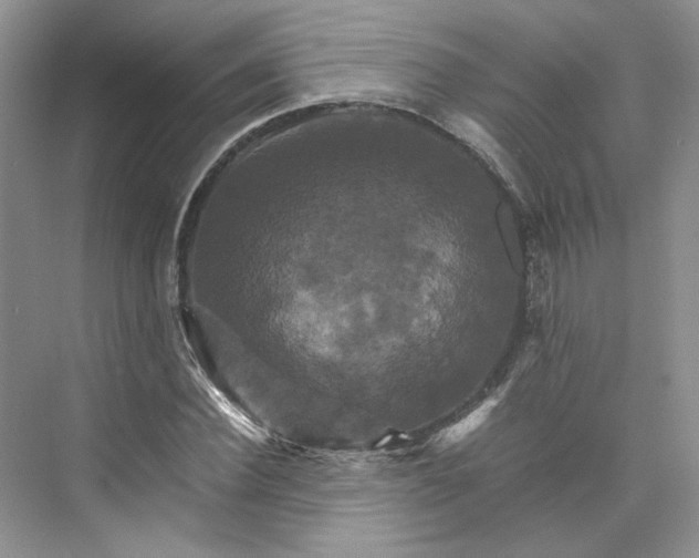 X0000075860924200609291544