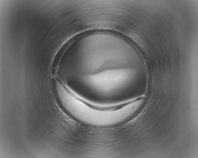 X0000075860926200609291544