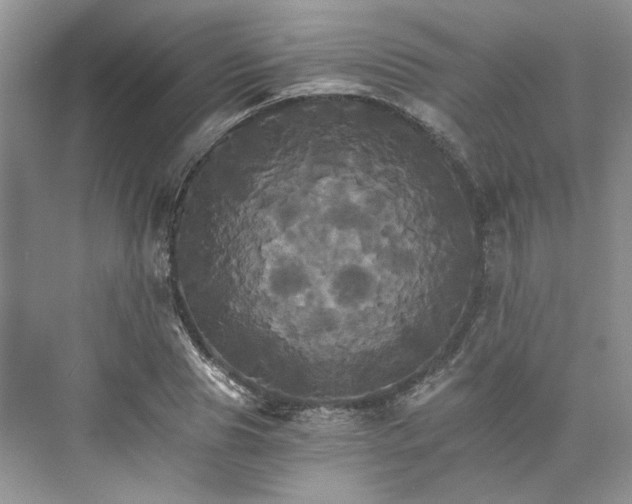 X0000075860929200609291544