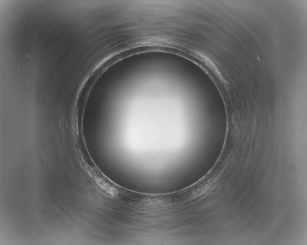 X0000075860931200609291544