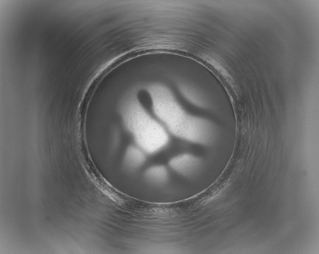 X0000075860933200609291544