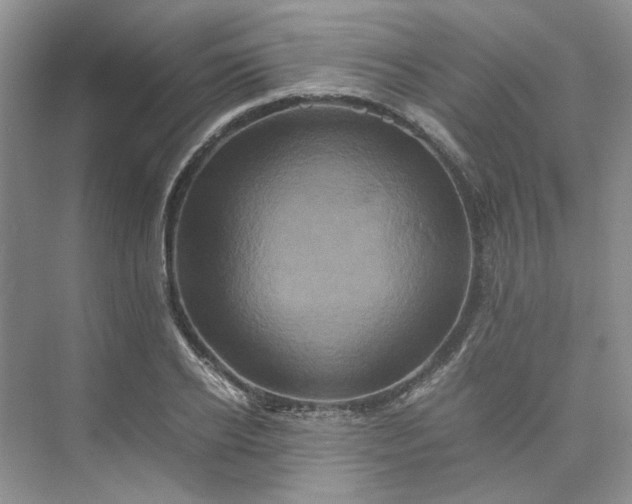 X0000075860934200609291544