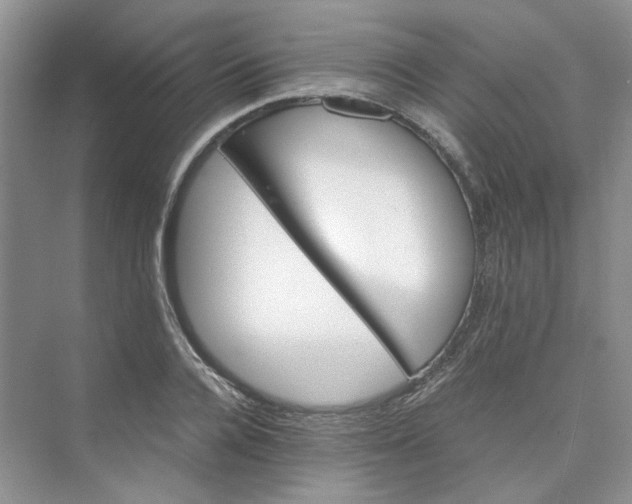 X0000075860936200609291544