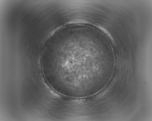 X0000075860937200609291544