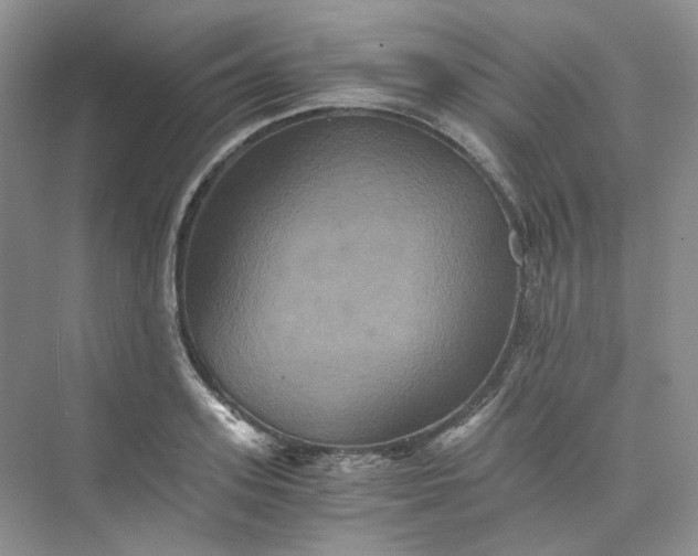 X0000075860939200609291544