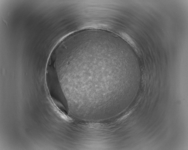 X0000075860940200609291544