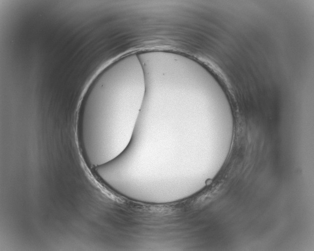 X0000075860941200609291544