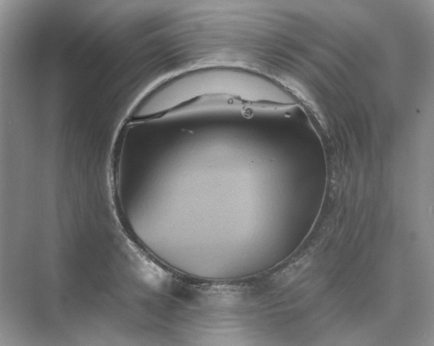 X0000075860942200609291544