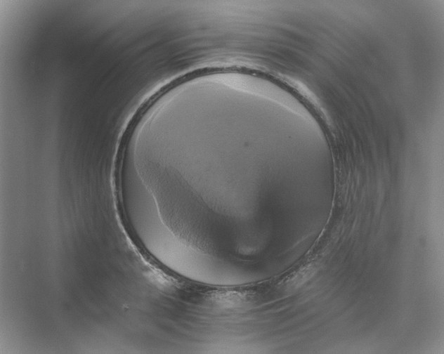 X0000075860943200609291544