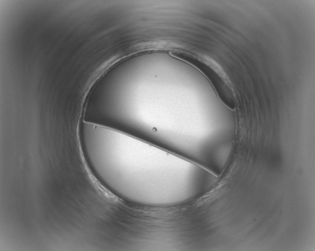 X0000075860946200609291544