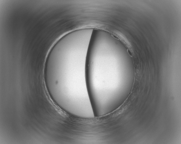 X0000075860948200609291544