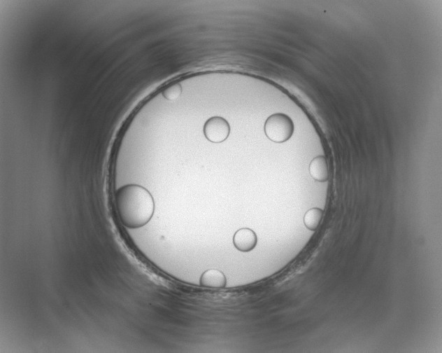 X0000075860949200609291544