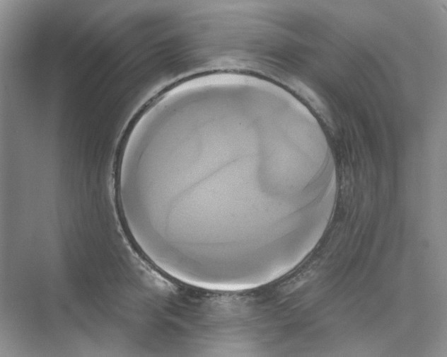 X0000075860950200609291544