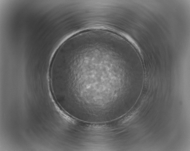 X0000075860951200609291544