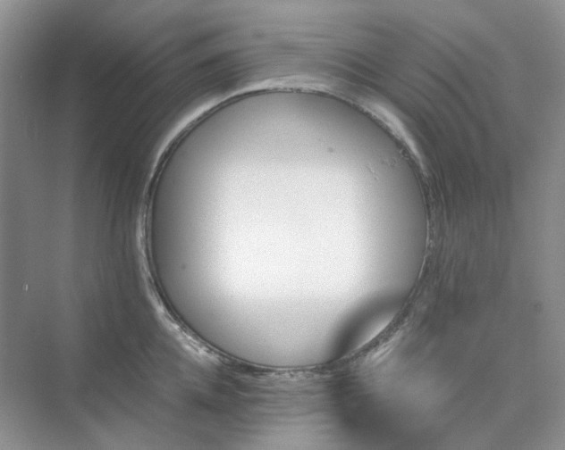 X0000075860952200609291544