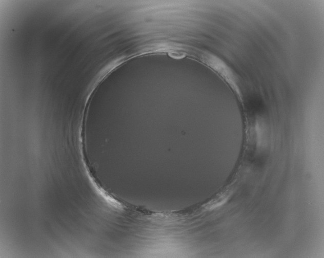 X0000075860954200609291544