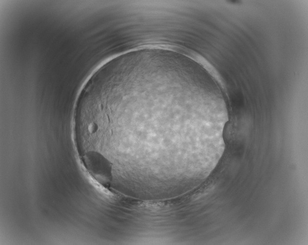 X0000075860955200609291544