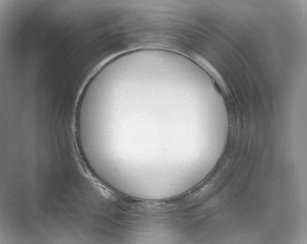 X0000075860956200609291544