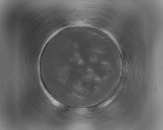 X0000075860957200609291544