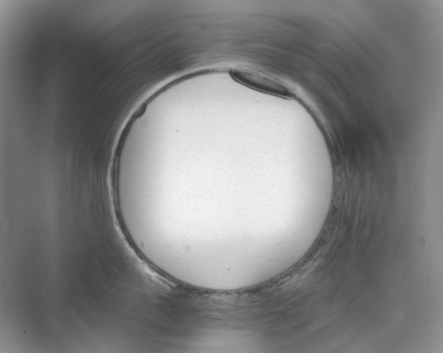 X0000075860959200609291544