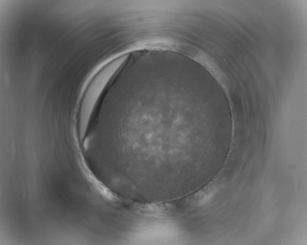 X0000075860960200609291544