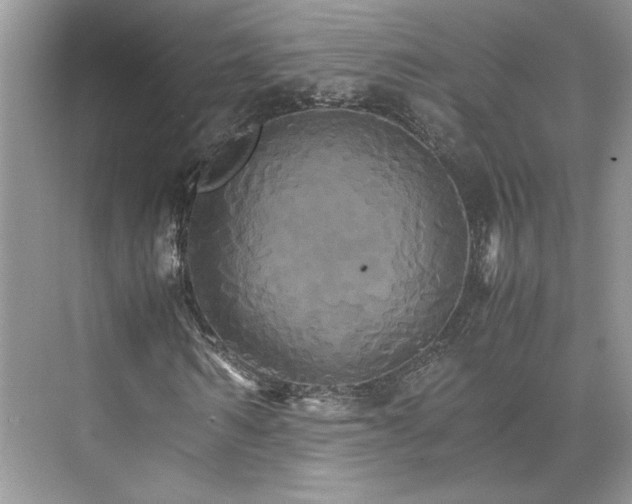 X0000075860962200609291544