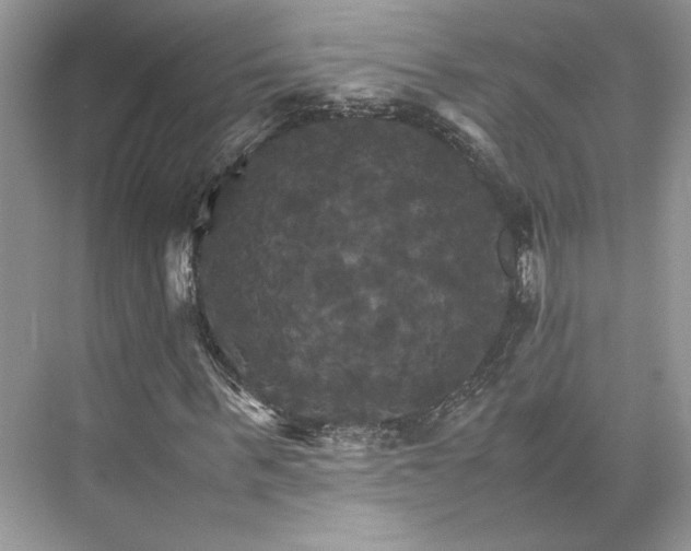 X0000075860963200609291544