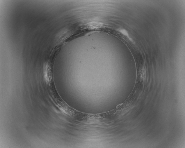 X0000075860964200609291544