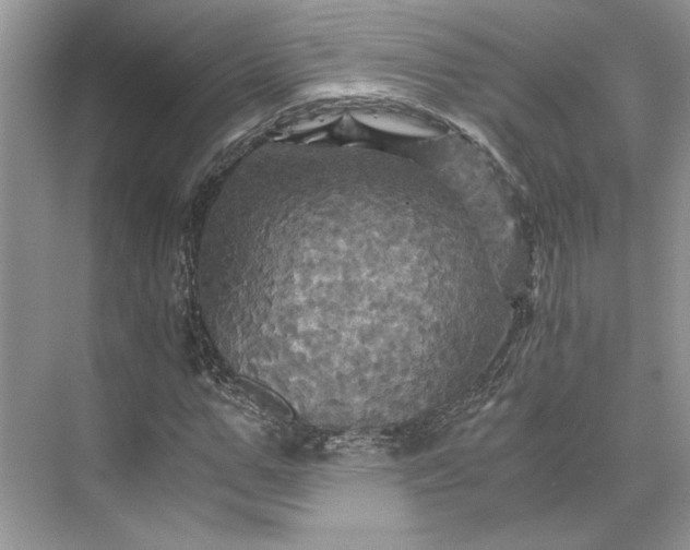 X0000075860967200609291544