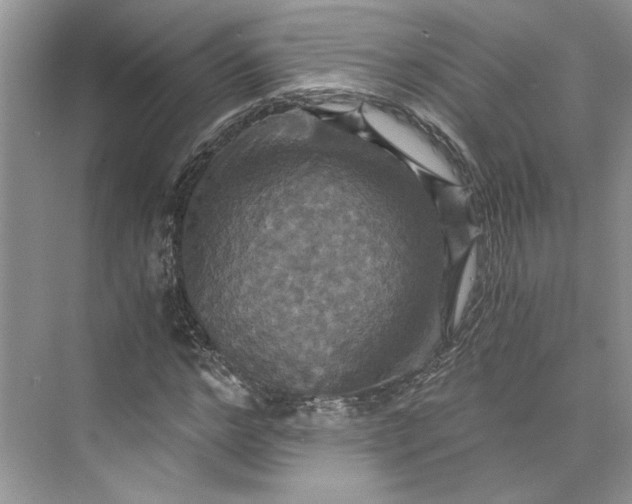 X0000075860968200609291544