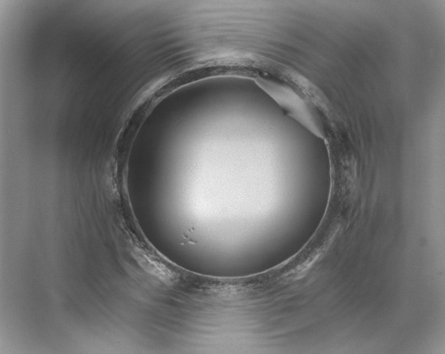 X0000075860970200609291543