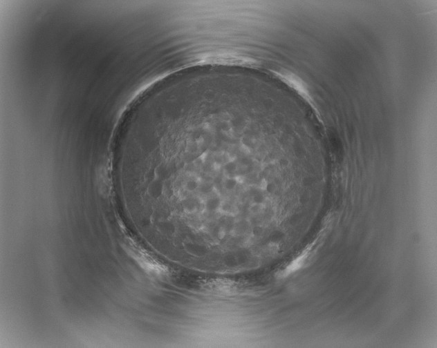 X0000075860971200609291543