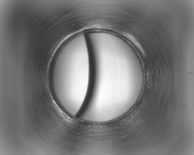 X0000075860972200609291543